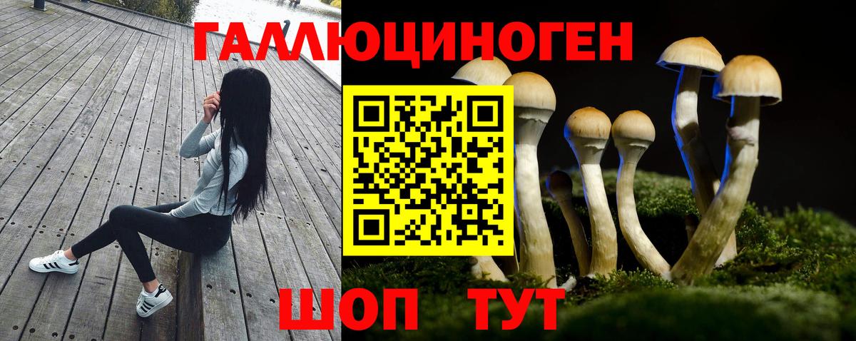 Галлюциногенные грибы мухоморы  Майский  Псилоцибиновые грибы ЛСД 