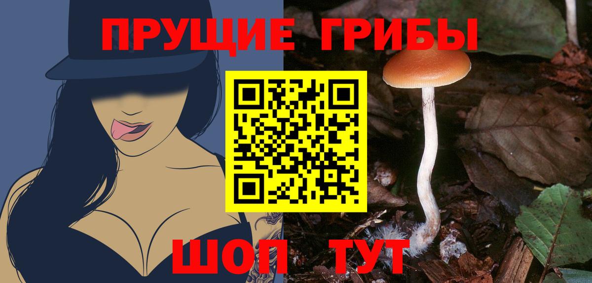Майский  Галлюциногенные грибы прущие грибы  Вход с VPN 